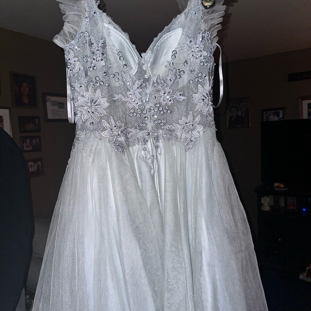 cinderella divine extra small gray dress